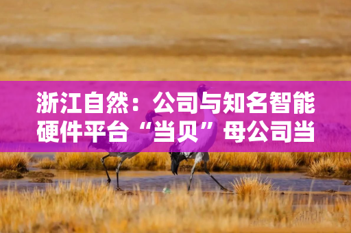 浙江自然：公司与知名智能硬件平台“当贝”母公司当趣科技达成深度合作，联合开发新一代智能床垫产品