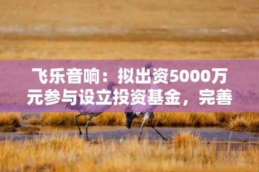 飞乐音响：拟出资5000万元参与设立投资基金，完善仪器仪表产业生态的建立
