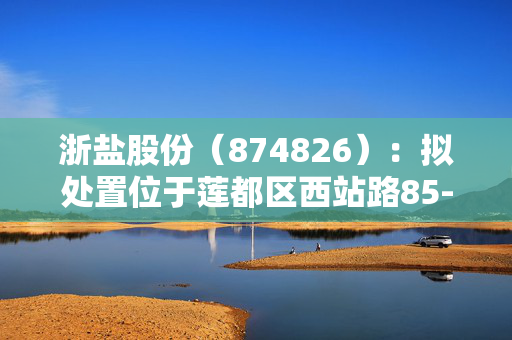 浙盐股份(874826):拟处置位于莲都区西站路85-1号资产 浙盐股份(874826):拟处置位于莲都区西站路85-1号资产