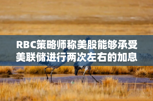 RBC策略师称美股能够承受美联储进行两次左右的加息