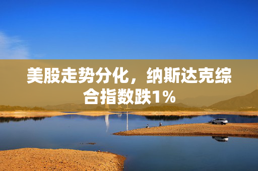 美股走势分化，纳斯达克综合指数跌1%
