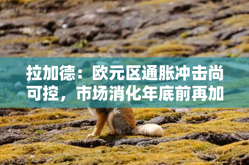 拉加德：欧元区通胀冲击尚可控，市场消化年底前再加息预期