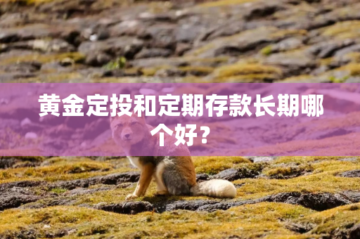 黄金定投和定期存款长期哪个好？