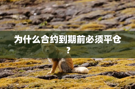 为什么合约到期前必须平仓？