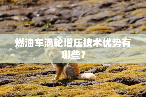 燃油车涡轮增压技术优势有哪些？