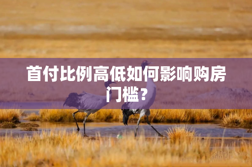 首付比例高低如何影响购房门槛？