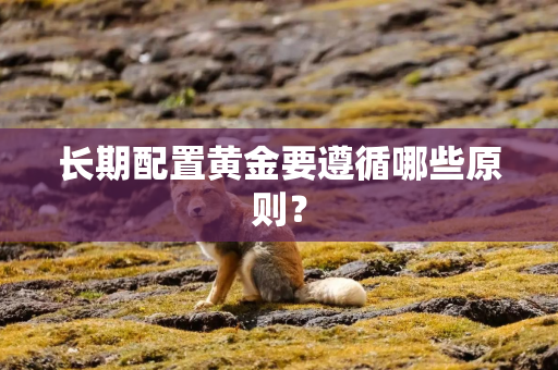 长期配置黄金要遵循哪些原则？