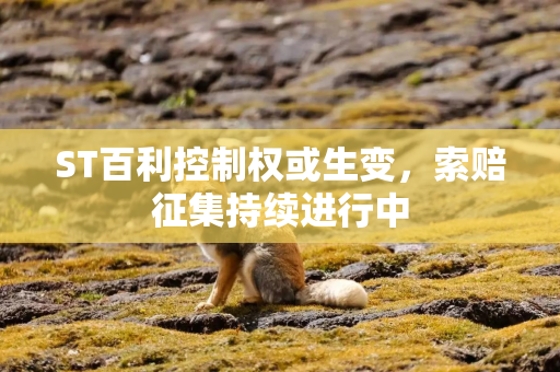 ST百利控制权或生变，索赔征集持续进行中