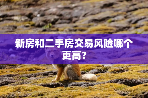 新房和二手房交易风险哪个更高？