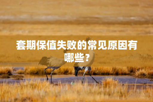 套期保值失败的常见原因有哪些？