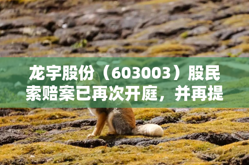 龙宇股份（603003）股民索赔案已再次开庭，并再提交立案，前期已有胜诉