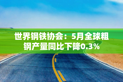 世界钢铁协会：5月全球粗钢产量同比下降0.3%
