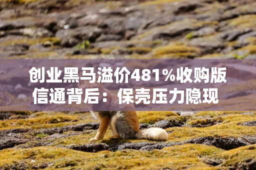 创业黑马溢价481%收购版信通背后：保壳压力隐现 业绩承诺是否宽松？