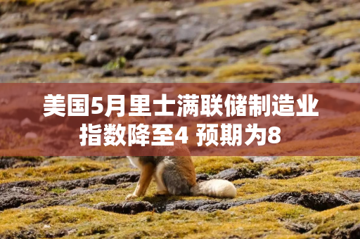 美国5月里士满联储制造业指数降至4 预期为8