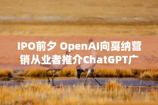 IPO前夕 OpenAI向戛纳营销从业者推介ChatGPT广告业务