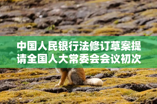 中国人民银行法修订草案提请全国人大常委会会议初次审议，加快完善中央银行制度