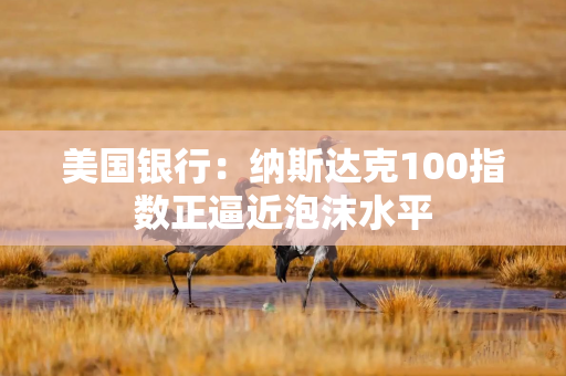 美国银行：纳斯达克100指数正逼近泡沫水平