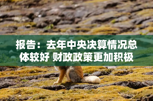 报告：去年中央决算情况总体较好 财政政策更加积极