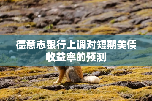 德意志银行上调对短期美债收益率的预测