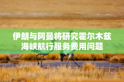 伊朗与阿曼将研究霍尔木兹海峡航行服务费用问题