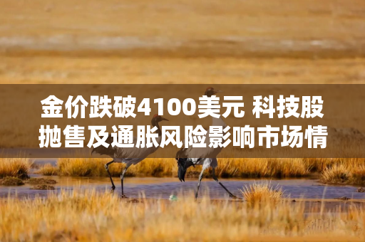 金价跌破4100美元 科技股抛售及通胀风险影响市场情绪
