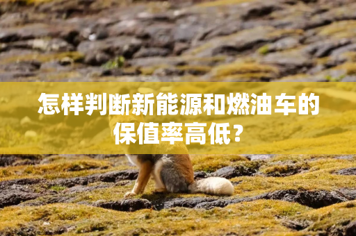 怎样判断新能源和燃油车的保值率高低？