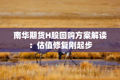 南华期货H股回购方案解读：估值修复刚起步
