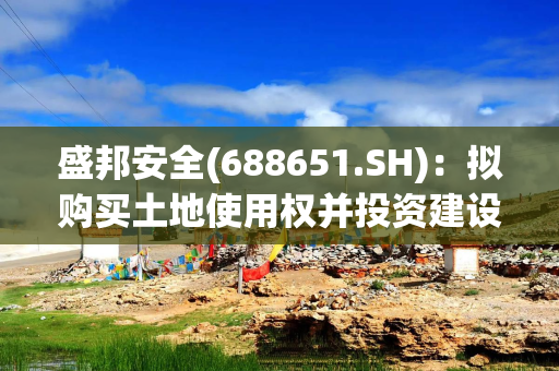 盛邦安全(688651.SH)：拟购买土地使用权并投资建设项目