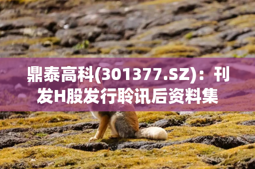 鼎泰高科(301377.SZ)：刊发H股发行聆讯后资料集