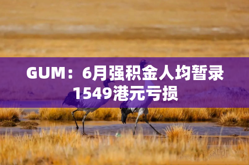 GUM：6月强积金人均暂录1549港元亏损