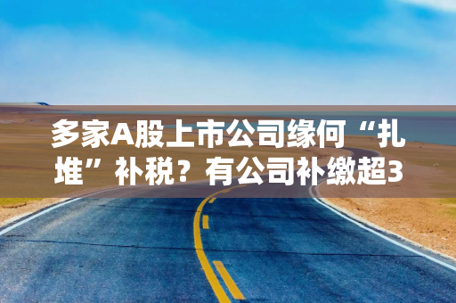 多家A股上市公司缘何“扎堆”补税？有公司补缴超3亿元 专家：补税并非“罚单”，不会影响企业经营基本面