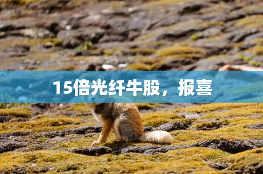 15倍光纤牛股，报喜