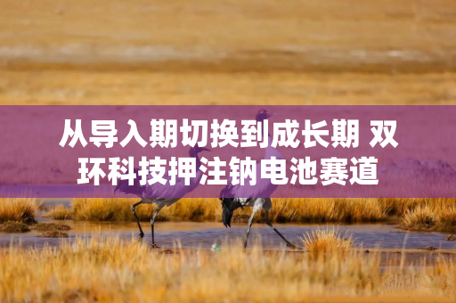 从导入期切换到成长期 双环科技押注钠电池赛道