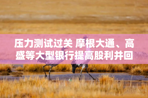 压力测试过关 摩根大通、高盛等大型银行提高股利并回购股份