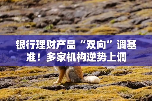 银行理财产品“双向”调基准！多家机构逆势上调