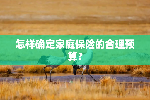 怎样确定家庭保险的合理预算？
