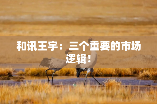和讯王宇：三个重要的市场逻辑！