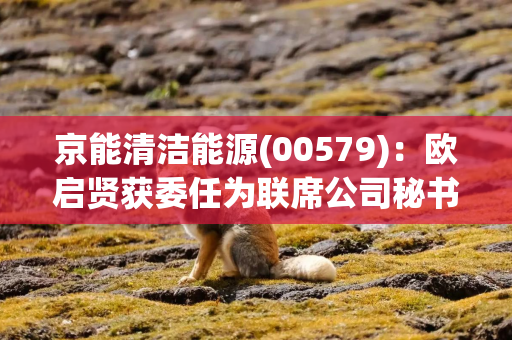京能清洁能源(00579)：欧启贤获委任为联席公司秘书及法律程序代理人