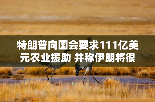 特朗普向国会要求111亿美元农业援助 并称伊朗将很快购买美国农产品