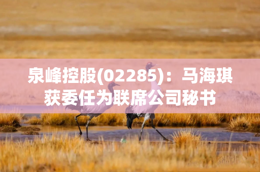 泉峰控股(02285)：马海琪获委任为联席公司秘书