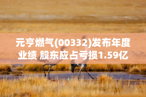 元亨燃气(00332)发布年度业绩 股东应占亏损1.59亿元 同比收窄91.72%