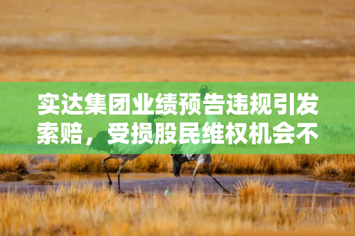 实达集团业绩预告违规引发索赔，受损股民维权机会不容错过