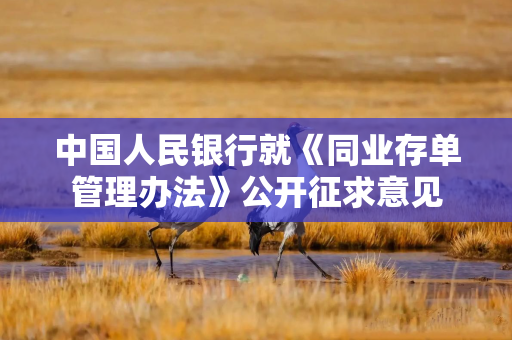 中国人民银行就《同业存单管理办法》公开征求意见