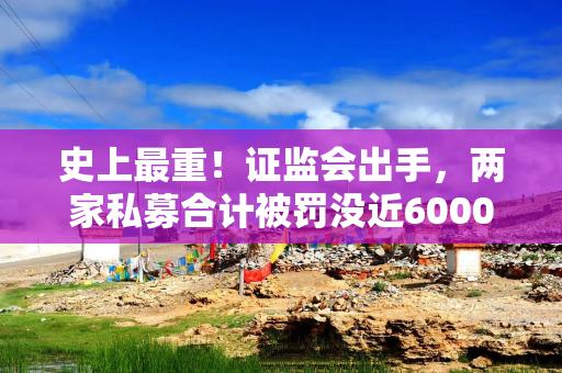 史上最重！证监会出手，两家私募合计被罚没近6000万元