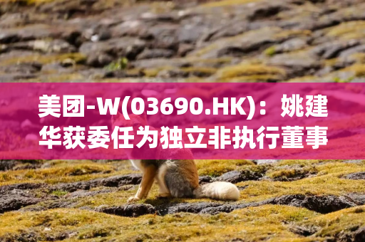 美团-W(03690.HK)：姚建华获委任为独立非执行董事