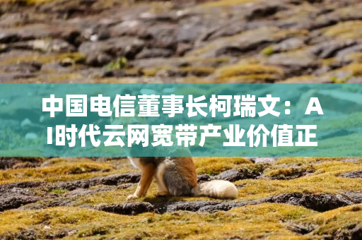 中国电信董事长柯瑞文：AI时代云网宽带产业价值正发生深刻变化，从流量经营走向Token经营
