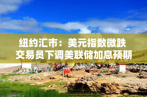 纽约汇市：美元指数微跌 交易员下调美联储加息预期