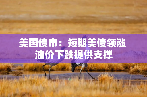 美国债市：短期美债领涨 油价下跌提供支撑
