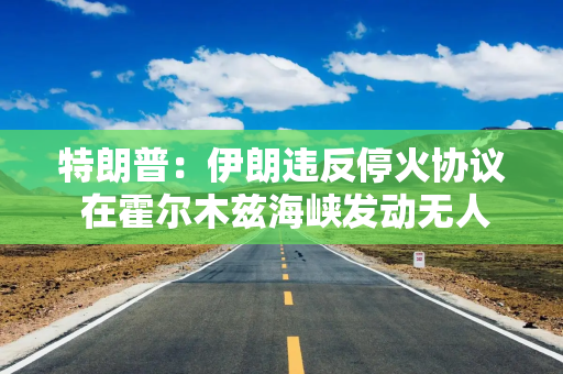 特朗普：伊朗违反停火协议 在霍尔木兹海峡发动无人机袭击