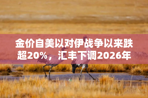 金价自美以对伊战争以来跌超20%,汇丰下调2026年展望 金价自美以对伊战争以来跌超20%,汇丰下调2026年展望